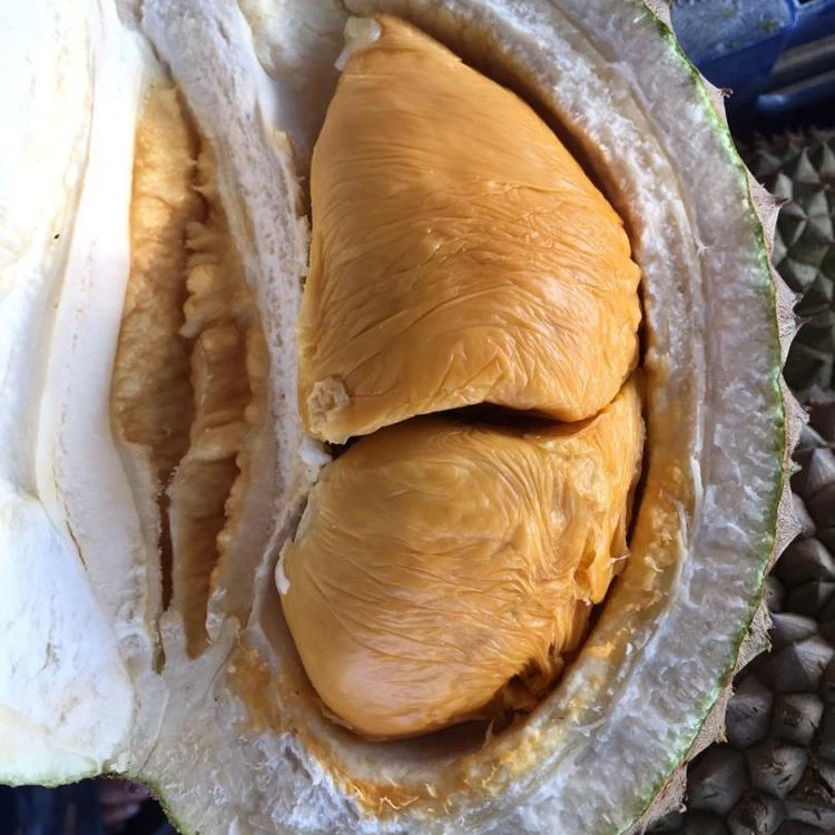 Пенанг Хай-Хилл свежий D200 Дуриан