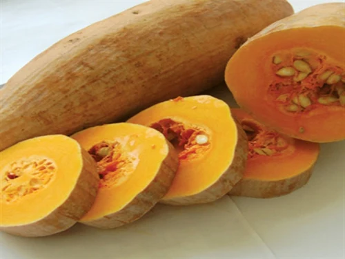 Fresh Pumpkin with the Best Price Wholesale Vietnam