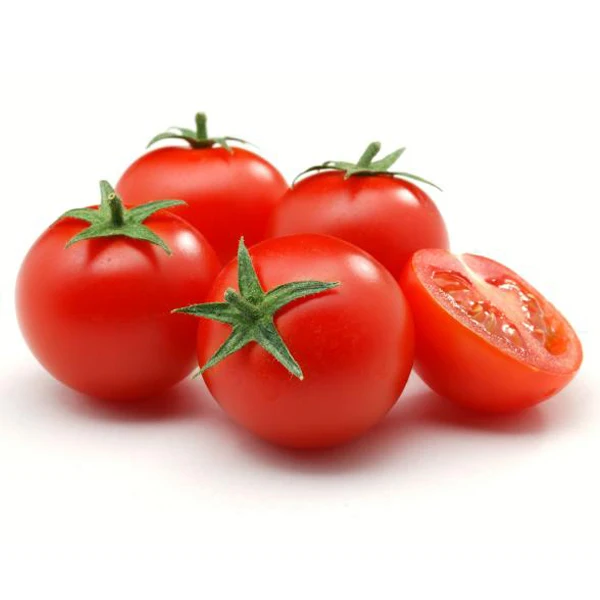Fresh Red Tomato / Fresh Tomato from India / Fresh Green Tomatoes