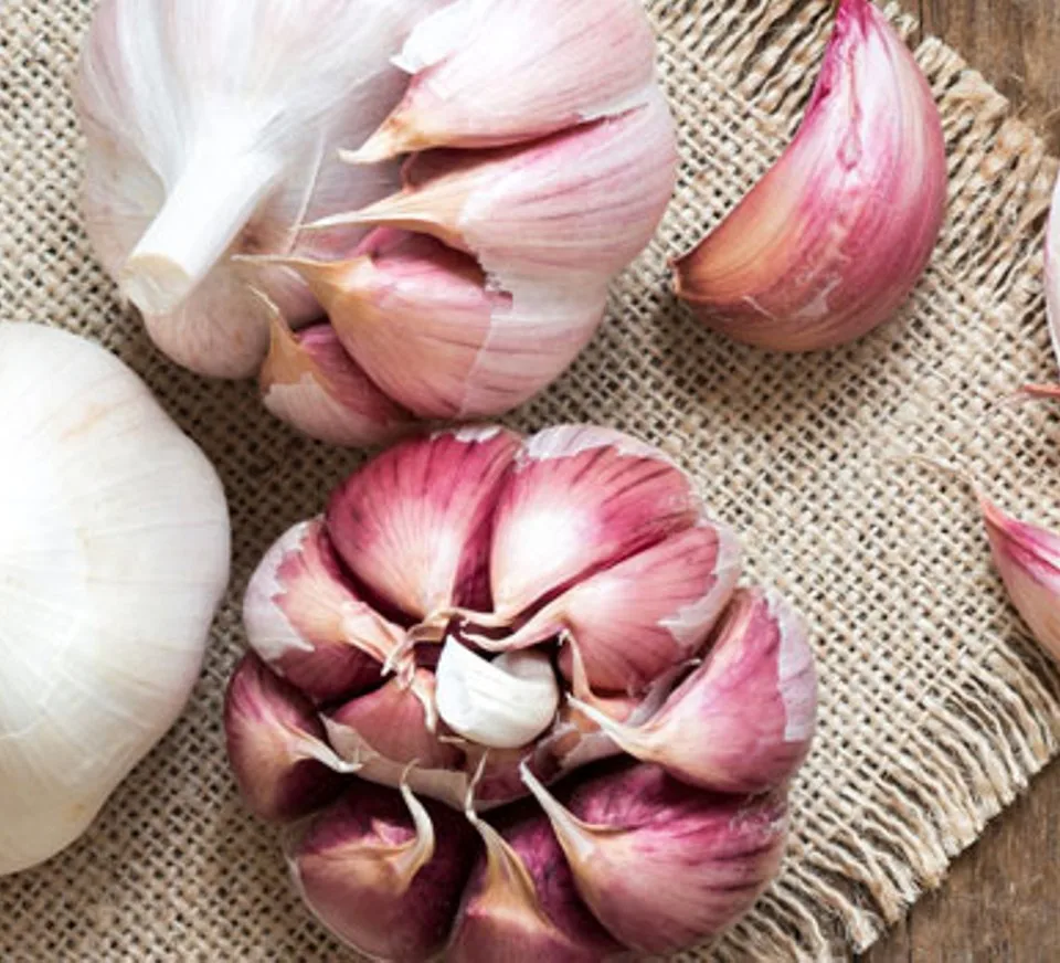 Fresh white garlic For Sale 100 Natural Organic Garlic Mesh Bag Packing Normal White Fresh Garlic in 10kg Crop Style