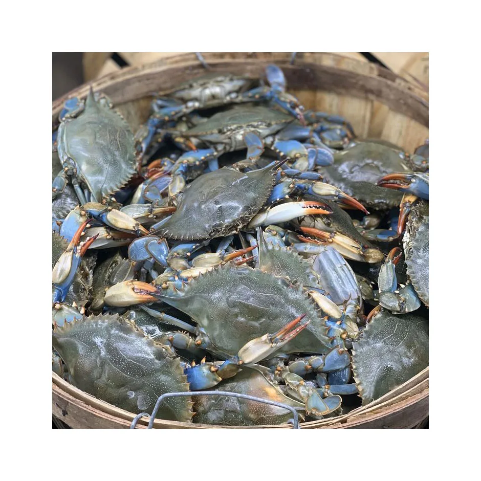 Fresh Crab / Frozen Crab / Whole Crab In Bulk