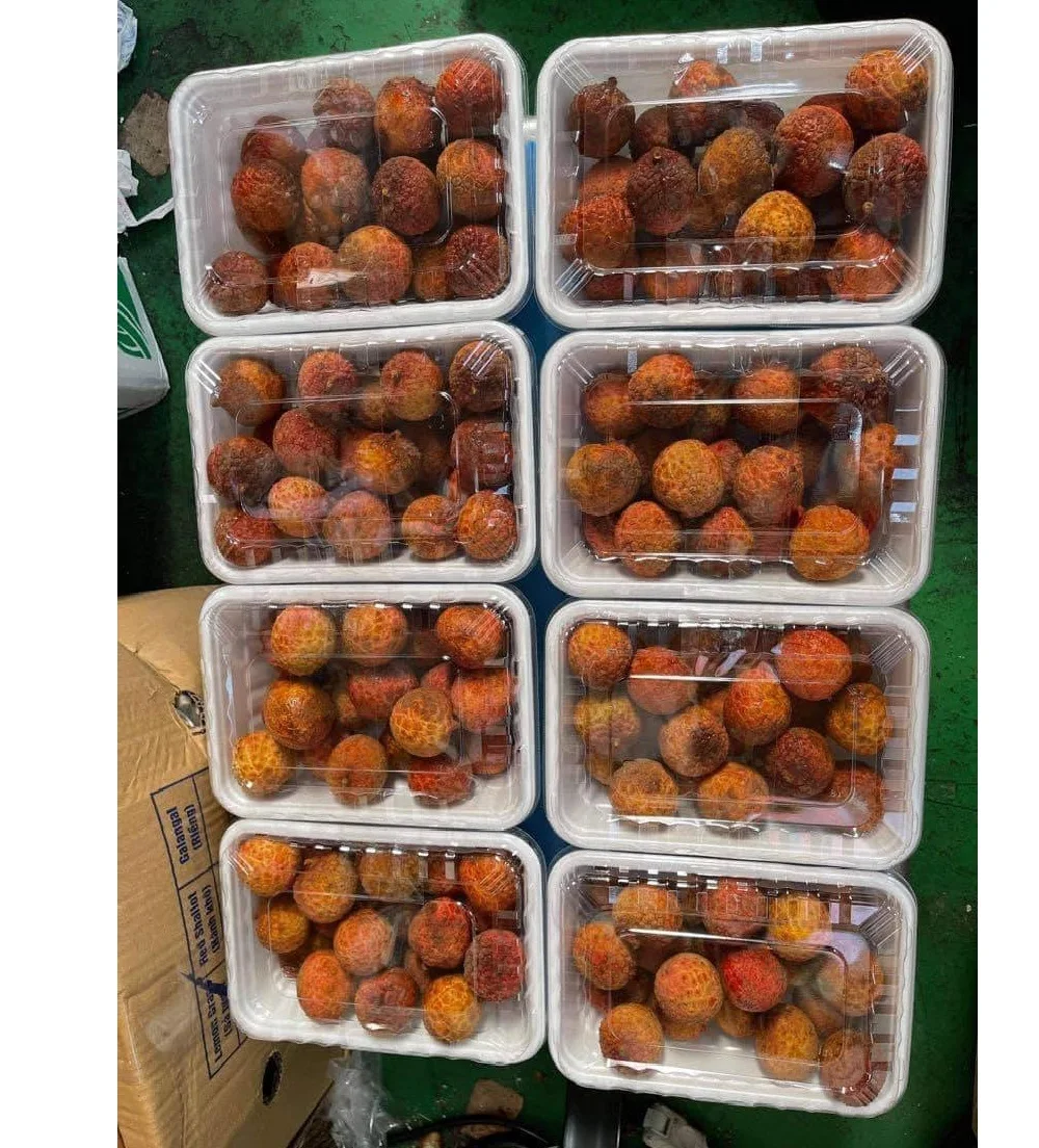 Egyptian Fresh Yellow TW6 Brand Natural Green 2 Months Maturity A Grade ISO, HACCP Certificate Fresh Thieu Lychee From Vietnam