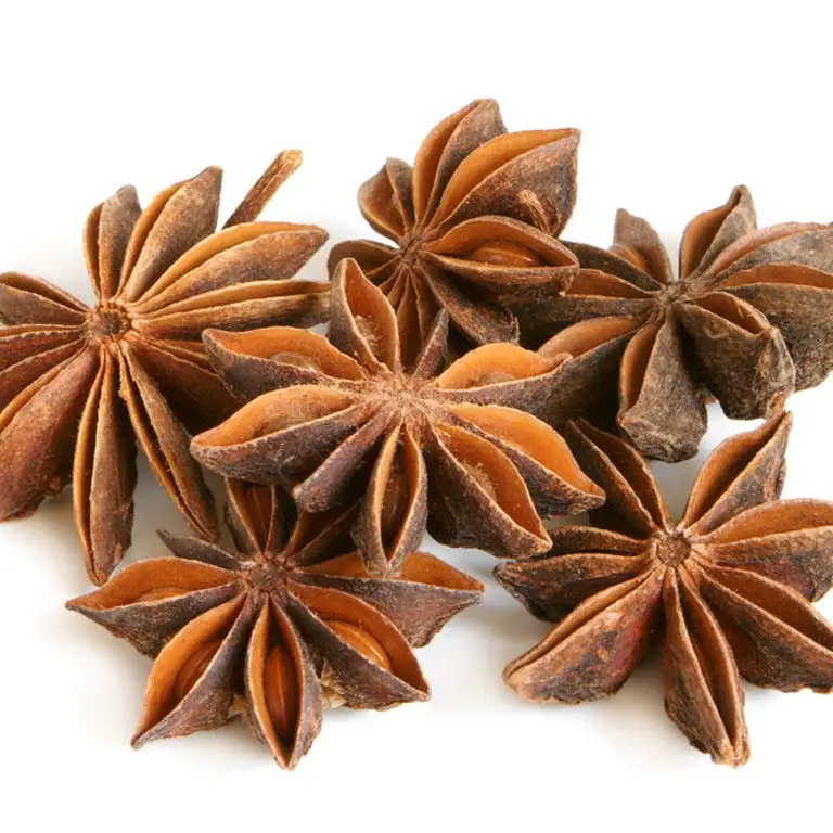 New Crop Vietnam Star Anise Autumn and Spring at Good Prices Spices And Herbs For Food Ingredients