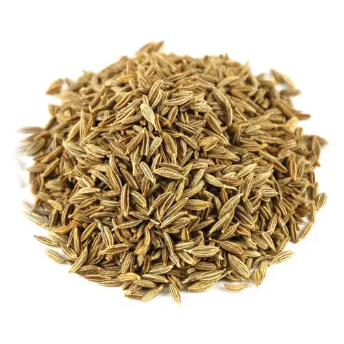 India wholesale export high quality Dried cumin seeds
