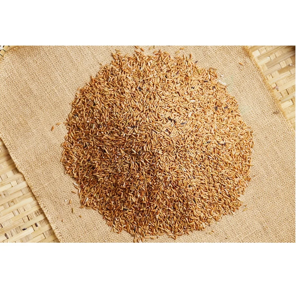 2020 Crop Long-Grain Thai Sangyod Rice Brown Rice  With 12% Max. Moisture in PP Woven Bags Packaging