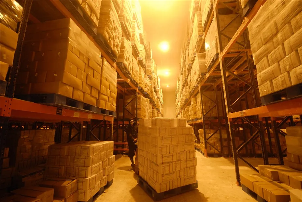 ATL GLOBAL-маринованный пангасиус (горчичный и свиной) высокого качества из Вьетнама (Whatsapp: + 84975262928 Хелен)