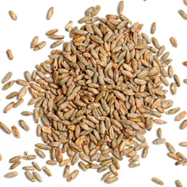 Rolled Rye Flakes Food Denmark