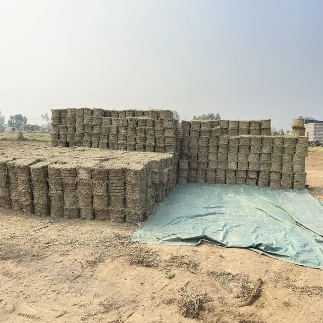 High Quality 100% Pakistani Moisture Controlled Peanut Hay for Sale in Bulk Quantity