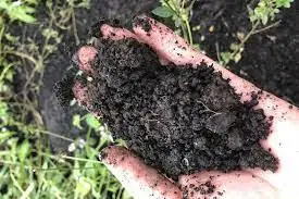 Оптовая поставка высококачественного торфяного Моха из Вьетнама Ms Sophie + 84 901 022 641