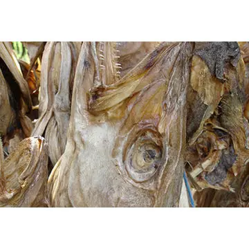  Сухой запас рыбы для продажи в Таиланде