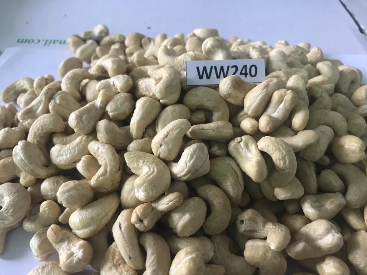 100% natural no additives nuts kernels dried cashew on sale W180 W210 W240 W320 W450 WS LP