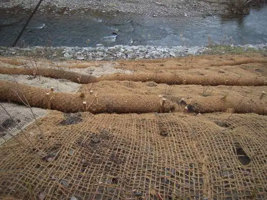 
COIR NET / PROTECTING PLANTS / COCO FIBER / COVER BARE HILLS - Ms. Elish +84 904 183 651 