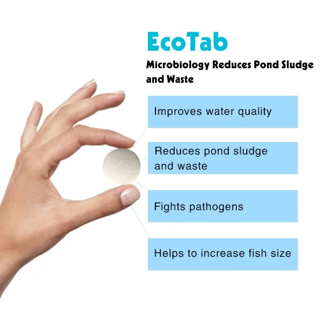 Hot Sale EcoTab - 10 Tablets - 10 Gram Per Tab - Microbiology Reduces Pond Sludge and Waste