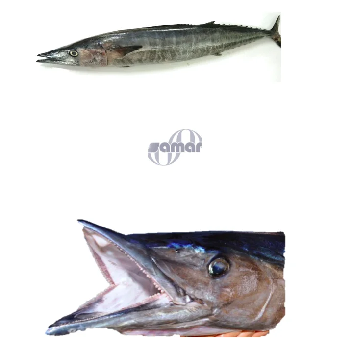 
 Замороженная рыба Wahoo, филе оптом, свежие морепродукты AKA Ono  