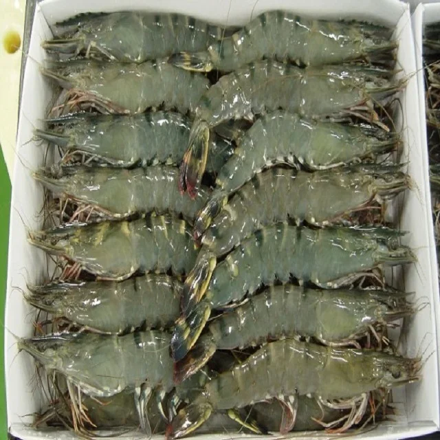 widely Selling Fresh Frozen Whole Vannamei Shrimp White / Black Tiger Shrimp /prawn (10000007310367)
