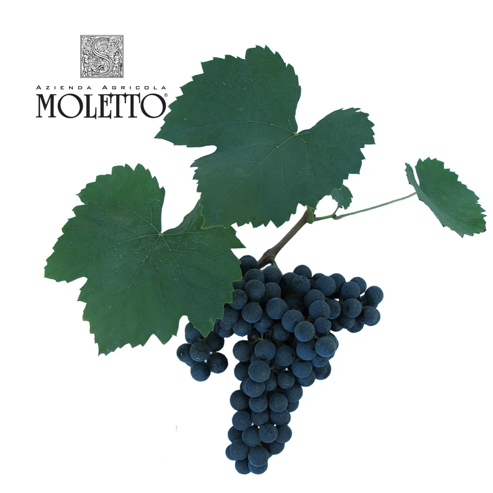 Franconia Red Still Wine From Italy Veneto District Produced From Franconia Grapes