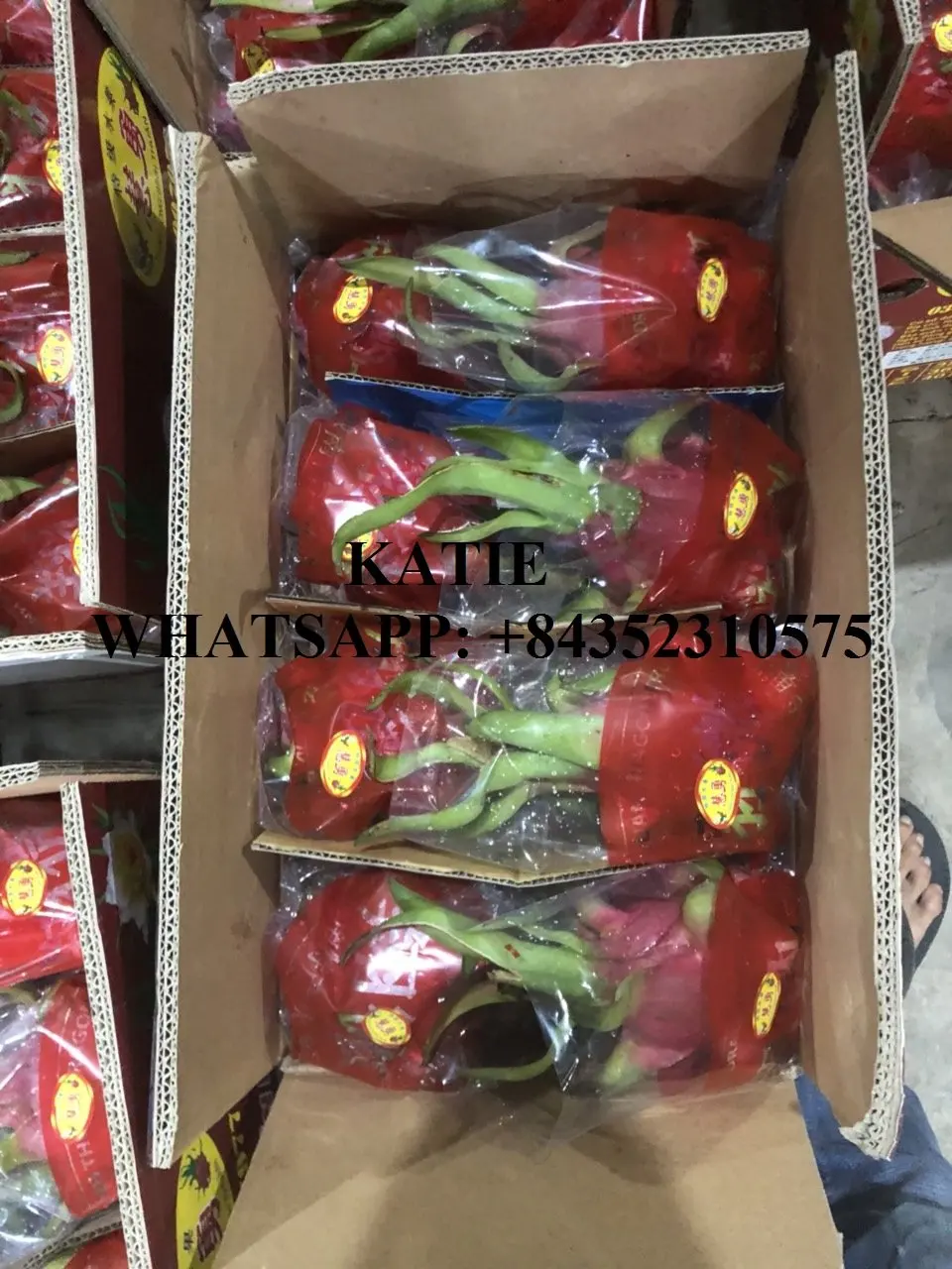 BEST PRICE OF WHITE / RED FRESH DRAGON FRUIT SUPPLIER / KATIE N +84352310575