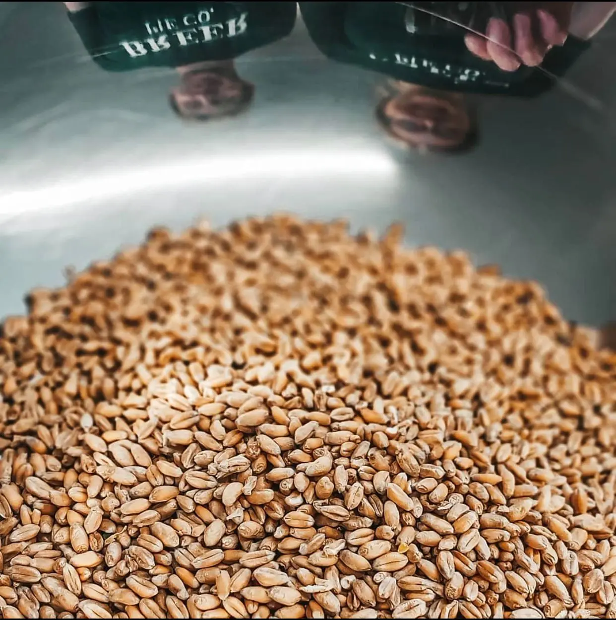 Зерно пшеницы высшего качества русское происхождение