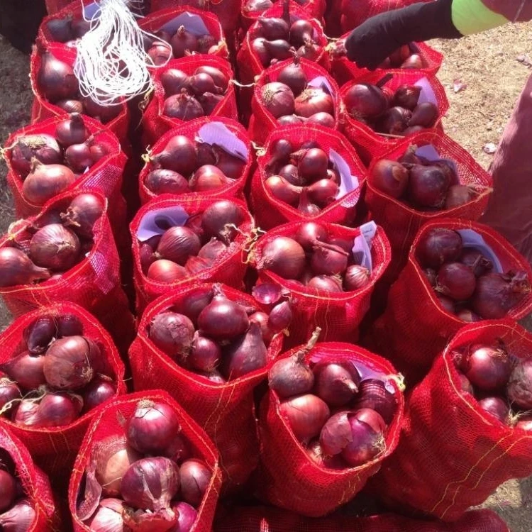 Best choice and best discounts Fresh Red Onions sweet  Onions lowest price  onion specification fresh for sale