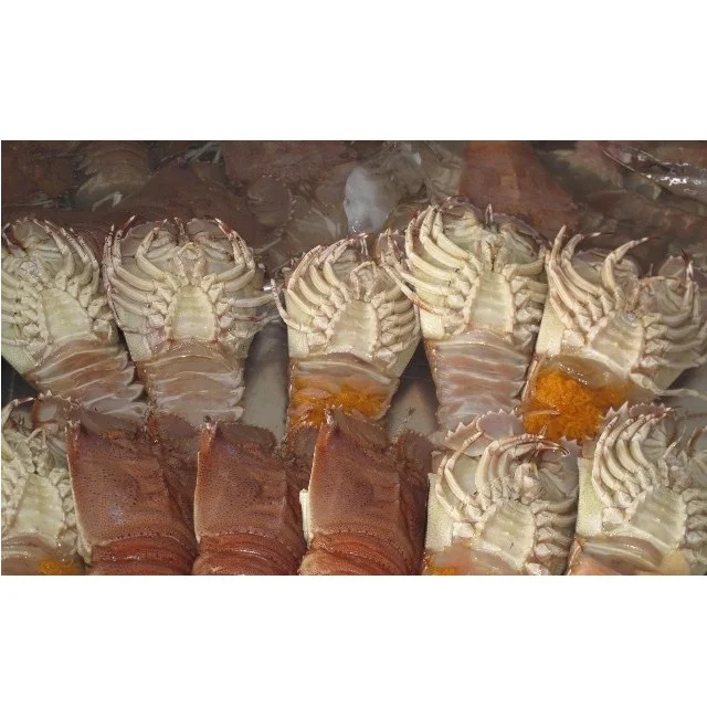 Замороженные тапочки с наполовину вырезанным лобстером, срок годности 18 месяцев от CN