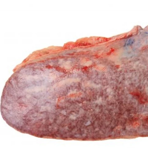 FROZEN BEEF SPLEEN FRESH FROZEN BEEF SPLEEN HIGH QUALITY A GRADE FROZEN BEEF SPLEEN ORIGIN MONTENEGRO