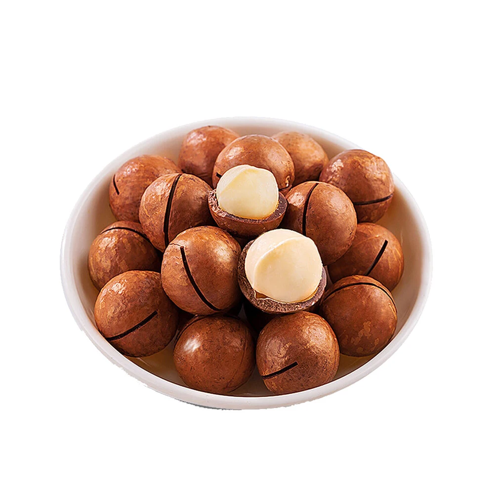 Wholesale high quality macca nuts organic macadamia nut dries with medium size Viet Nam manufacturing