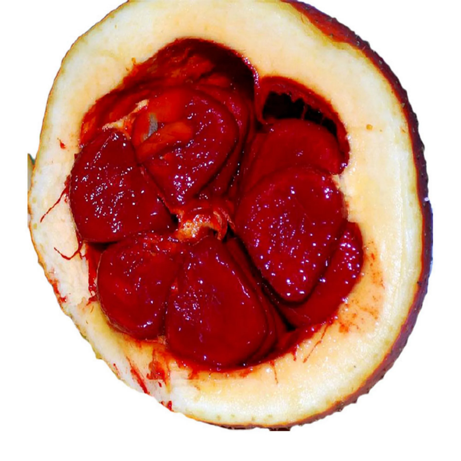 Raw Gac Fruit / Mekong Herbals