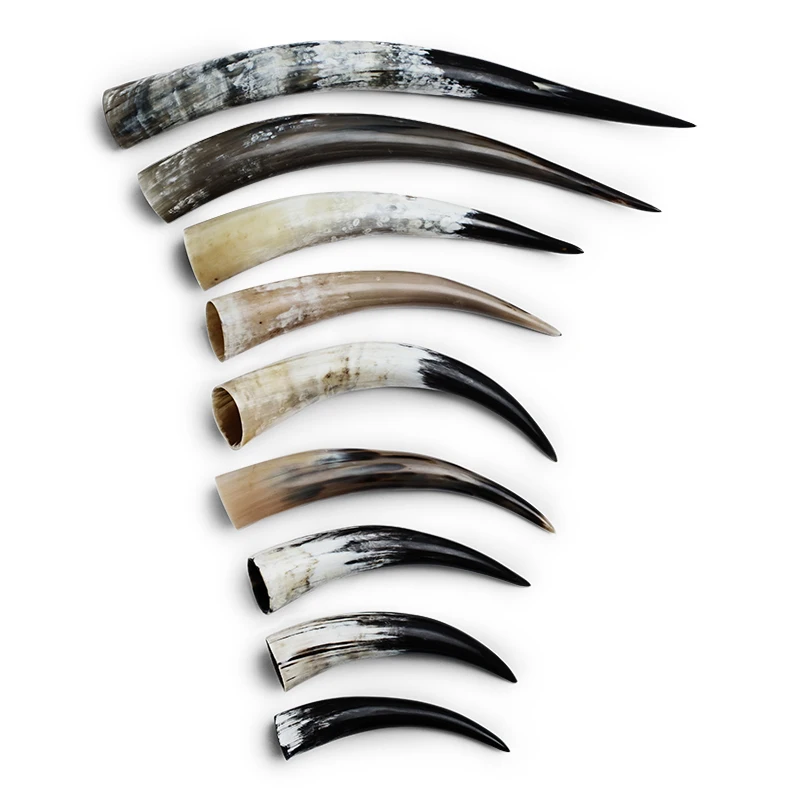 Drinking Horn 20cm- 45cm