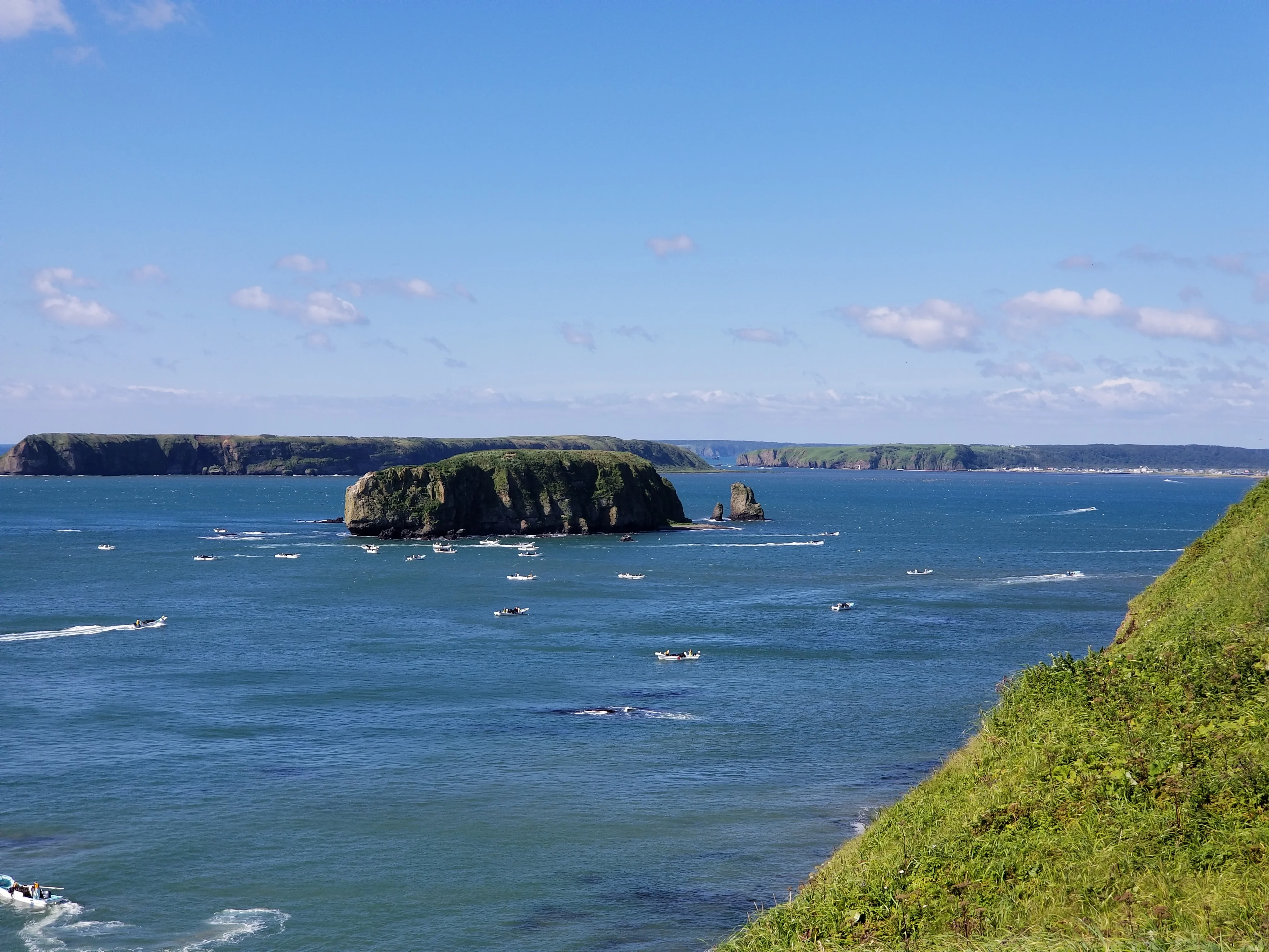 
Aged Kelp UMAMI Soup Stock 