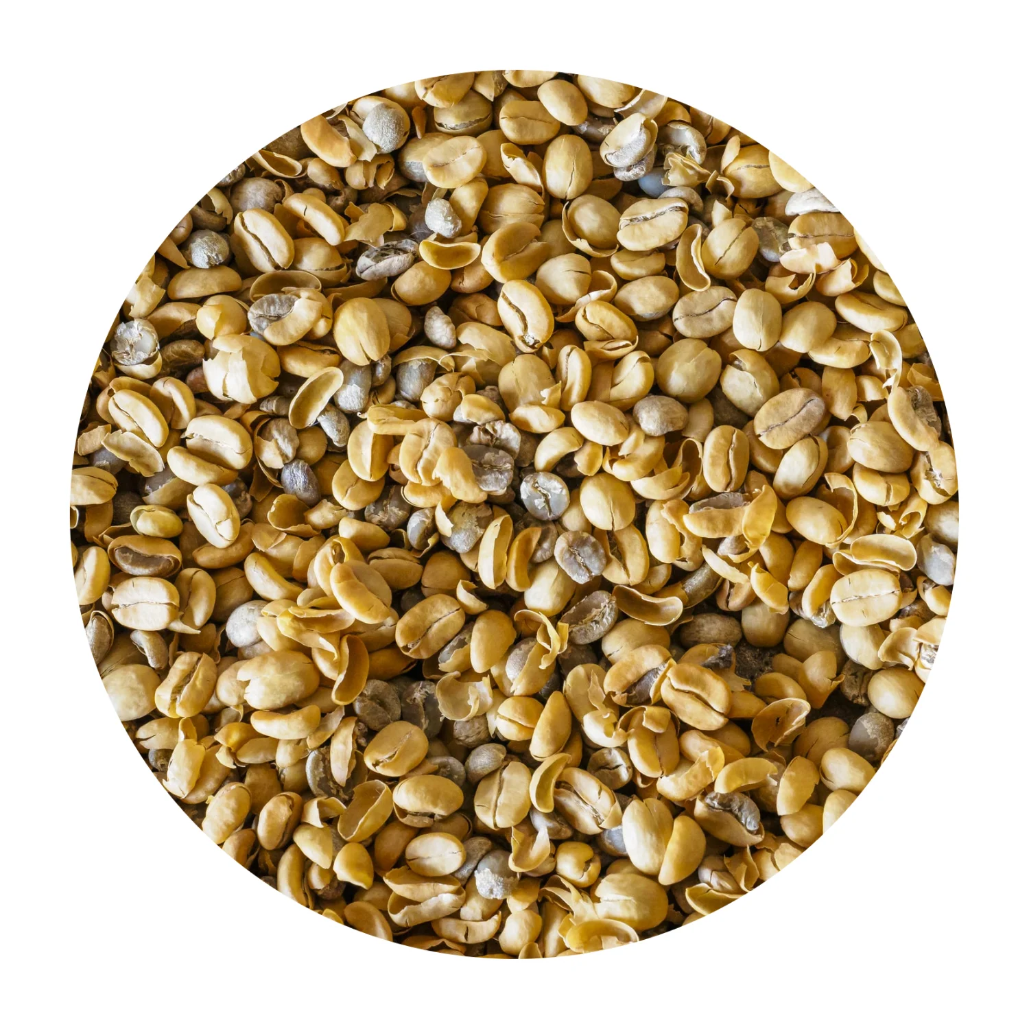 Органические Льняные семена 500MT без ГМО, сельскохозяйственные семена