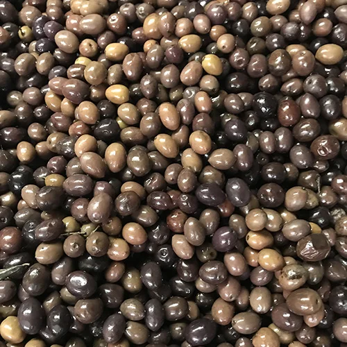 Качественные свежие оливки теперь доступны для экспорта со скидкой 30%