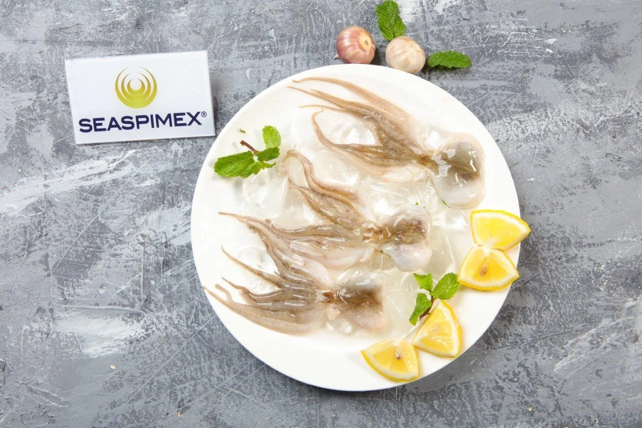 
ALL SIZES BABY OCTOPUS VULGARIS IN IQF BQF FREEZING BY SEASPIMEX VIETNAM 