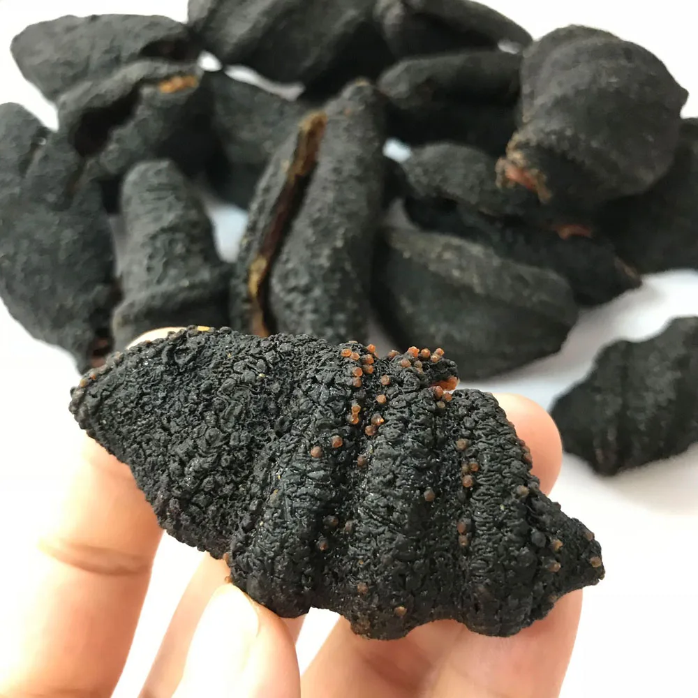  Высококачественный сухой морской огурец из белой соты