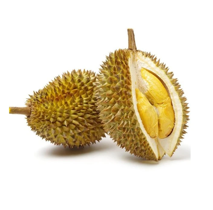 Premium quality durian fresh Vietnam durian golden yellow fresh durian new crop