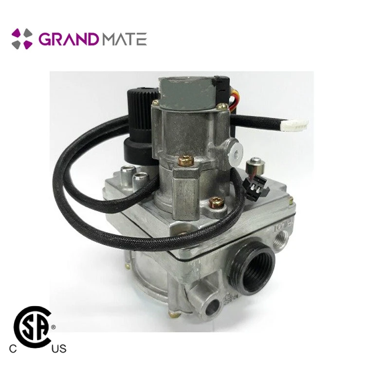  Натуральный редукционный температуры клапан регулировки газа