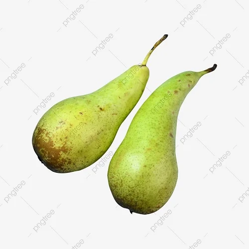 Fresh Oriental Pear Wholesale