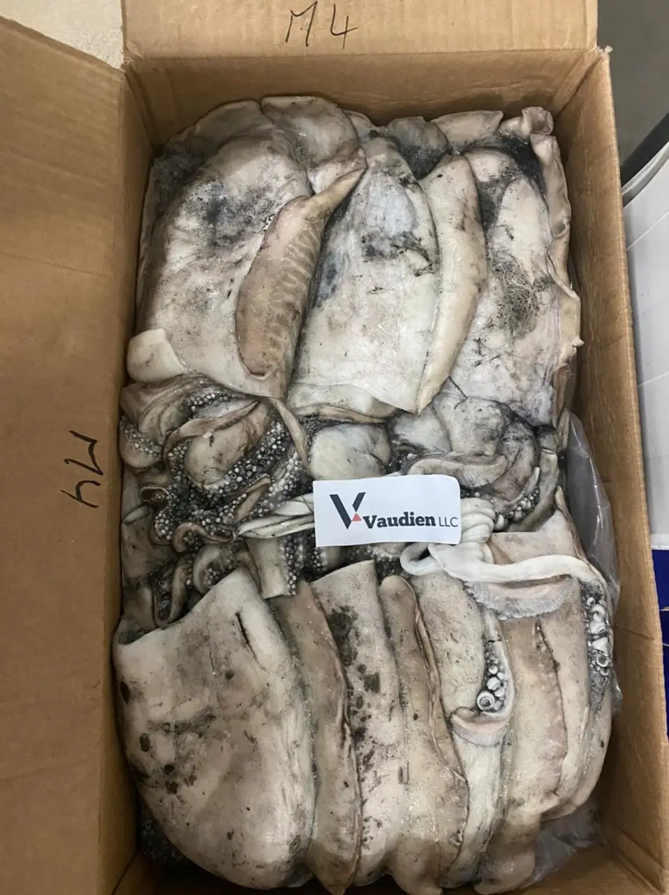 Moroccan Health Beneficial Sepiida Seiches Quality Export Frozen Cuttlefish At Great Price