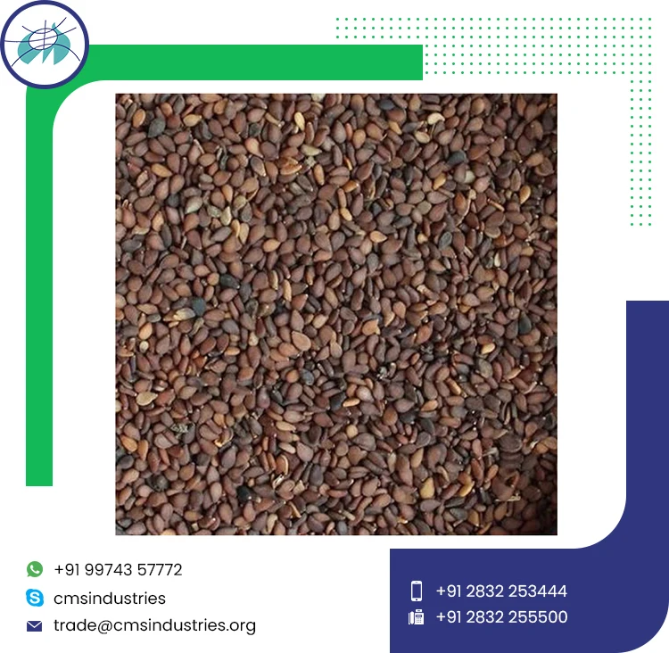 Необходимо купить коричневые семена кунжута, очищенные и гигиенично Упакованные 100% органических сертифицированных мировых экспортеров