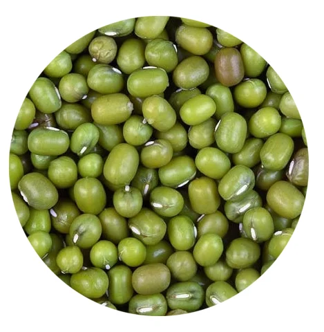Best quality green mung beans