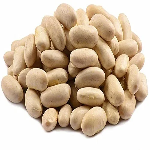 Polished Organic Non-GMO Dark Red Kidney Beans
