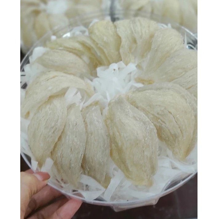 
High Quality Low-fat Protein Bird Nest Good For Health From Salanganes Vietnam for Export 