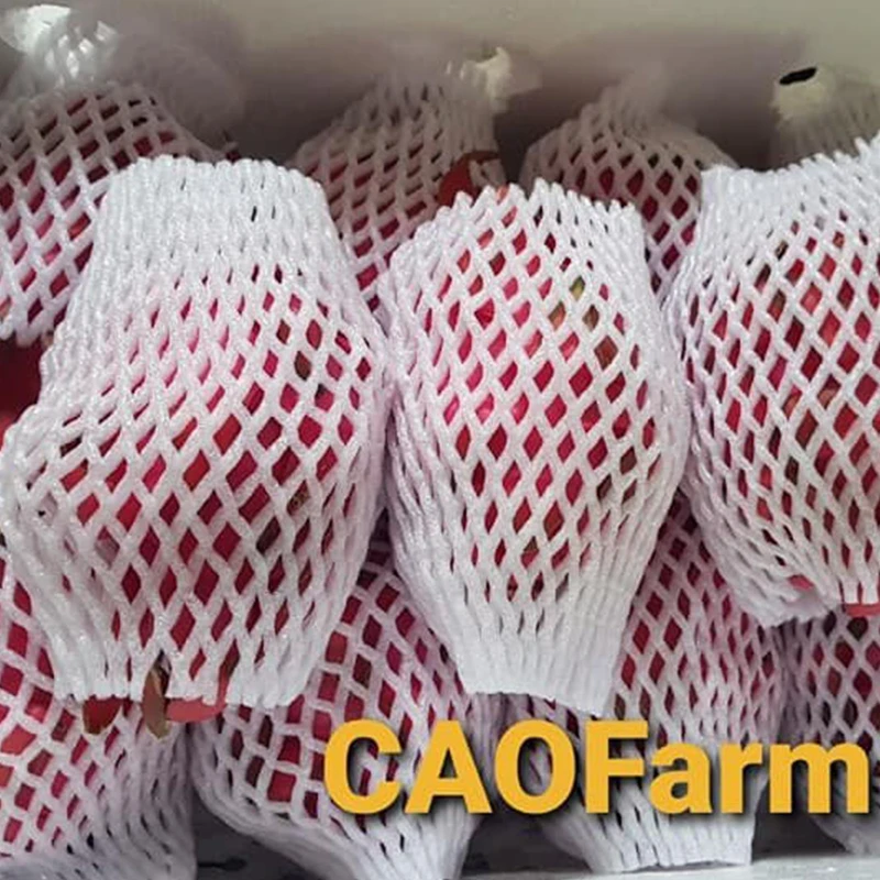 
Fresh Dragon Fruit Made in VietNam High quality Dragon Fruit 