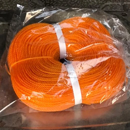 EU Standard Virgin PE/PP/HDPE/Nylon/Polyethelene/Plastic Safety Hollow Water Braided/Braid Ski Rope