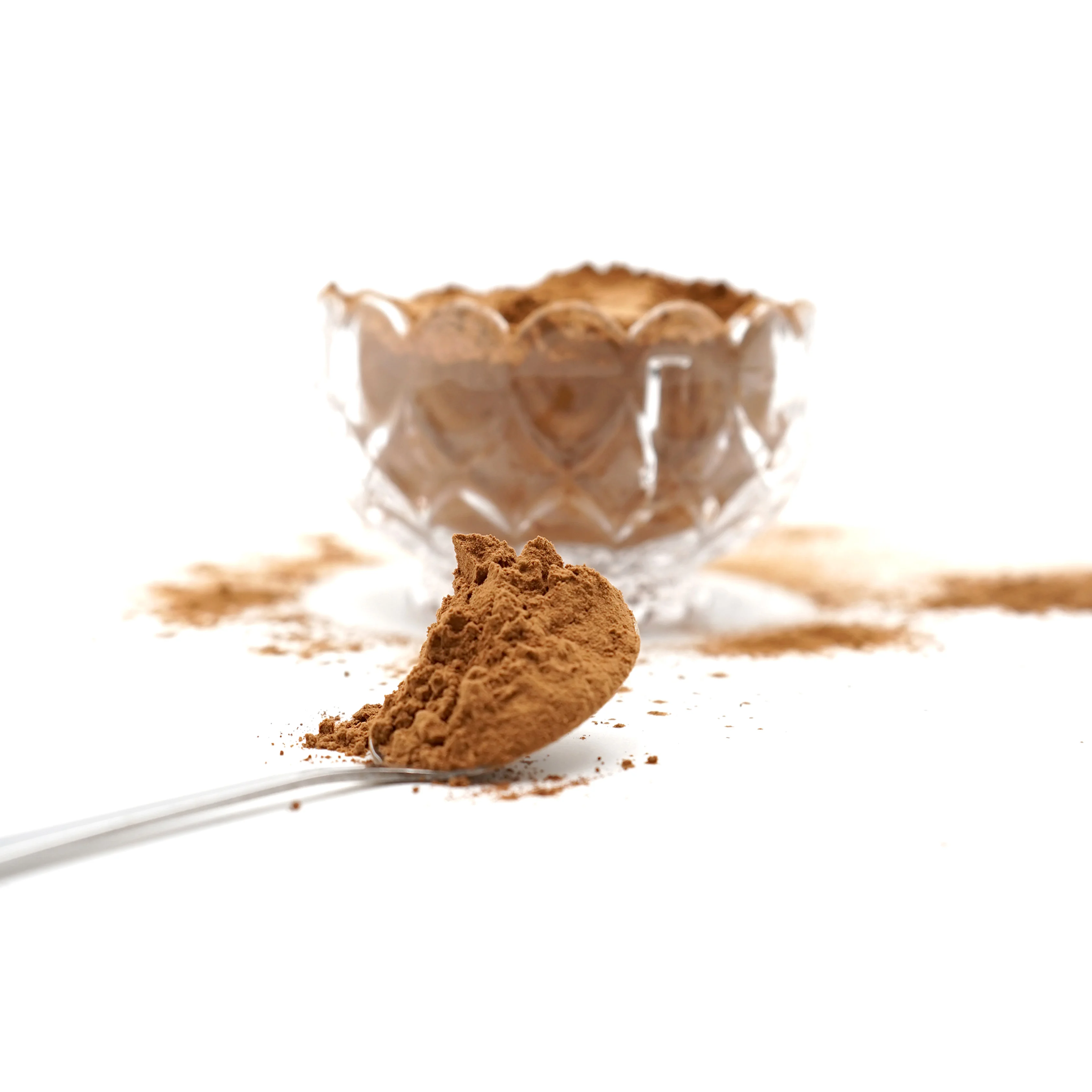 Высококачественный коричневый какао-порошок алкализованный 10% - 12% жира из Индонезии