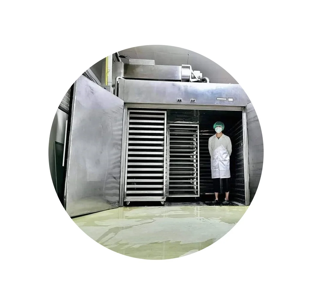 OEM Service OEM Brand Dried mango low sugar  Soft dry mango low sugar product from Thailand