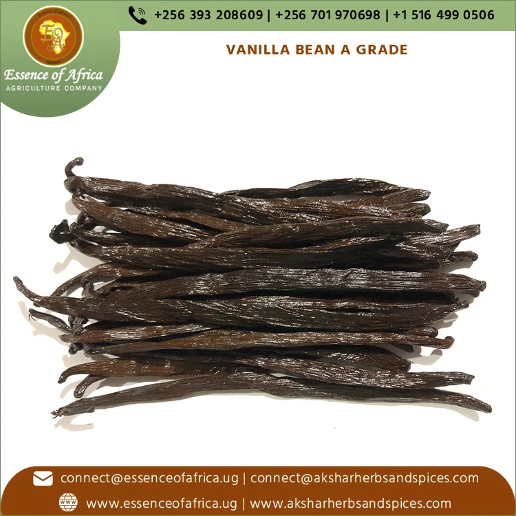 100% Pure Organic Brownish Black Gourmet Grade a Vanilla Beans Dried Top Supplier at Genuine Bulk Price