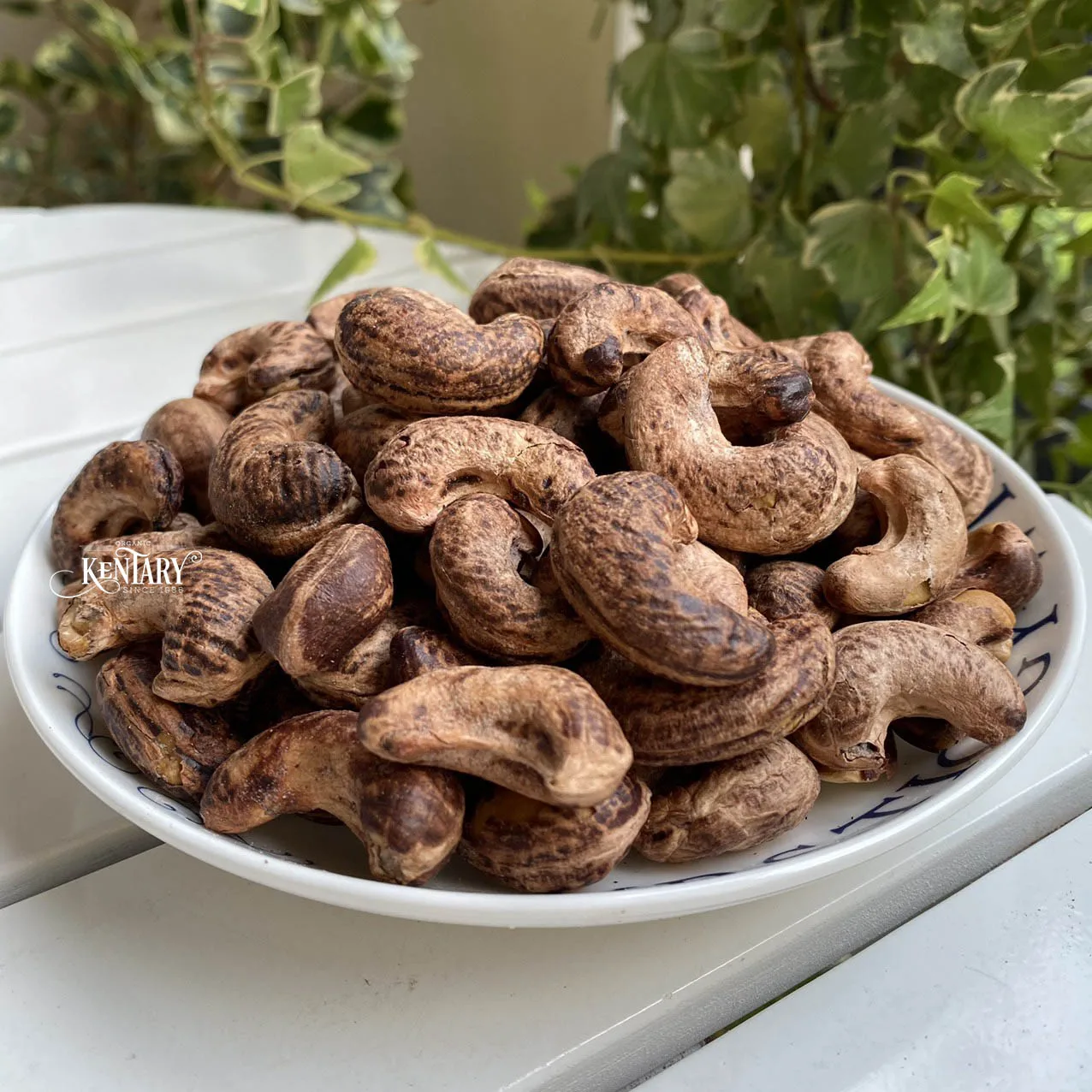 Оптовая продажа вьетнамские жареные орехи кешью с солью W420 лучшее качество Лучшая цена завод во Вьетнаме 100% натуральный оптовая