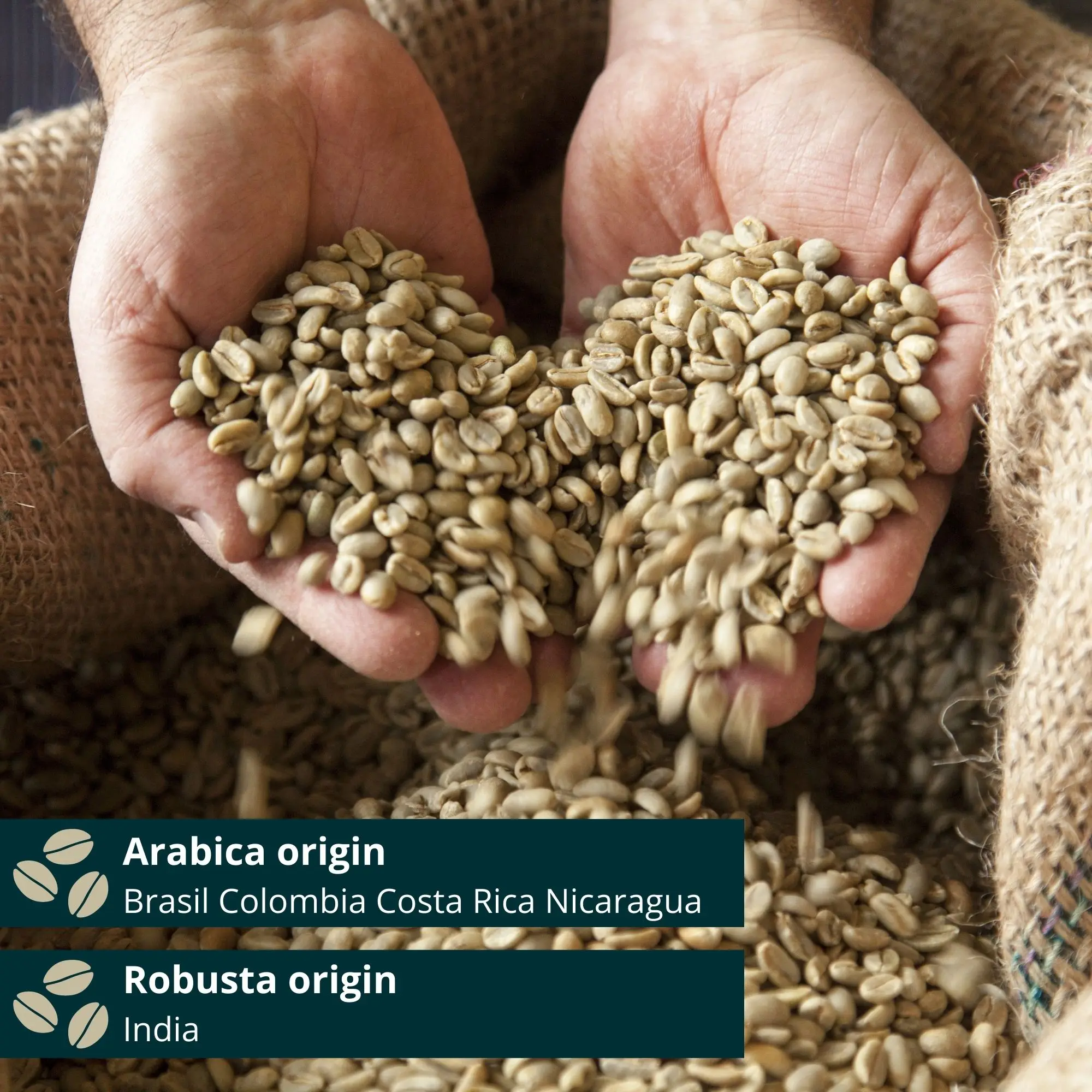 Organic, Vegan and Gluten Free Coffee Beans Caffe Europa 80% Arabica - 20% Robusta Blend Delicate Taste 3Kg Tin