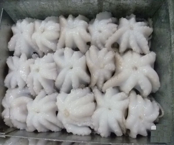 
New Raw Good Quality Frozen Octopus 