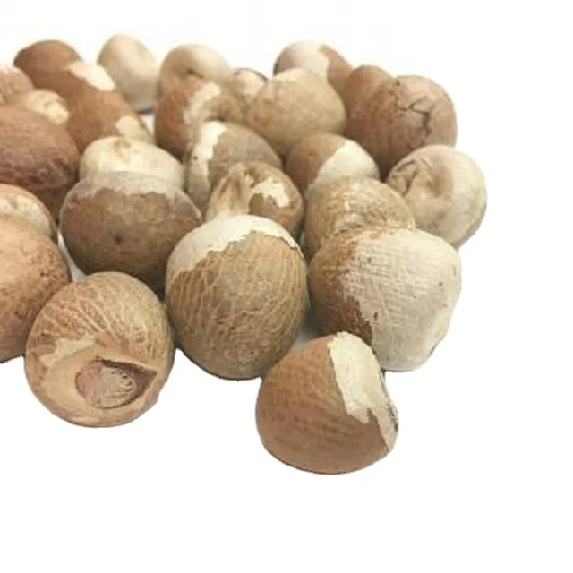 Оптовая продажа BETEL NUT/очищенный NUT для